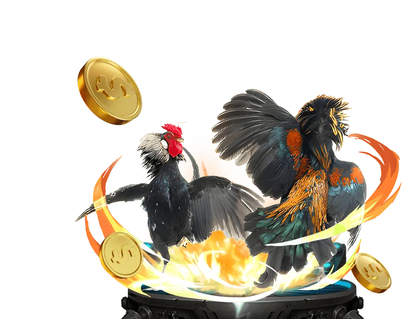 Chương trình VIP 286bet